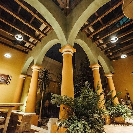Snail Bed & Breakfast (Adults Only) San Cristóbal de Las Casas Zewnętrze zdjęcie