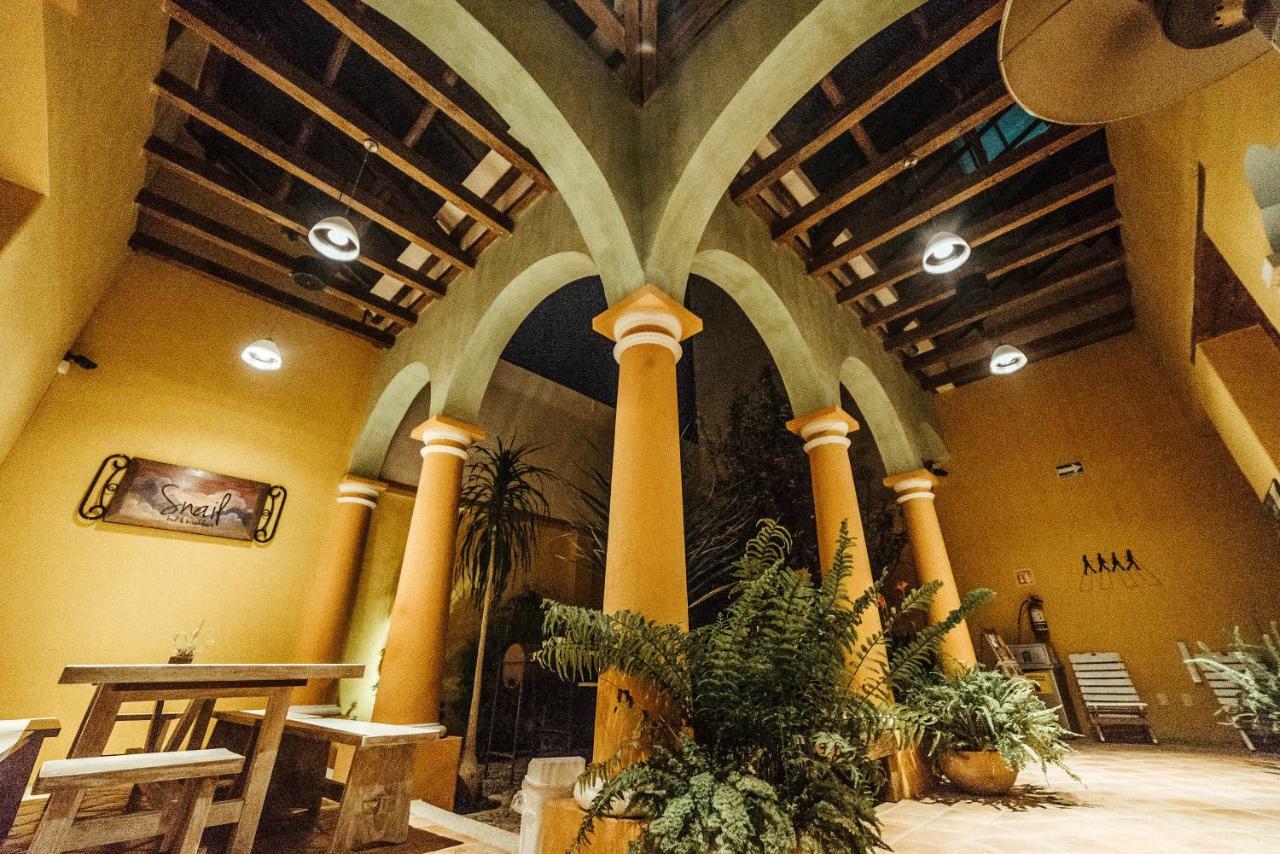 Snail Bed & Breakfast (Adults Only) San Cristóbal de Las Casas Zewnętrze zdjęcie