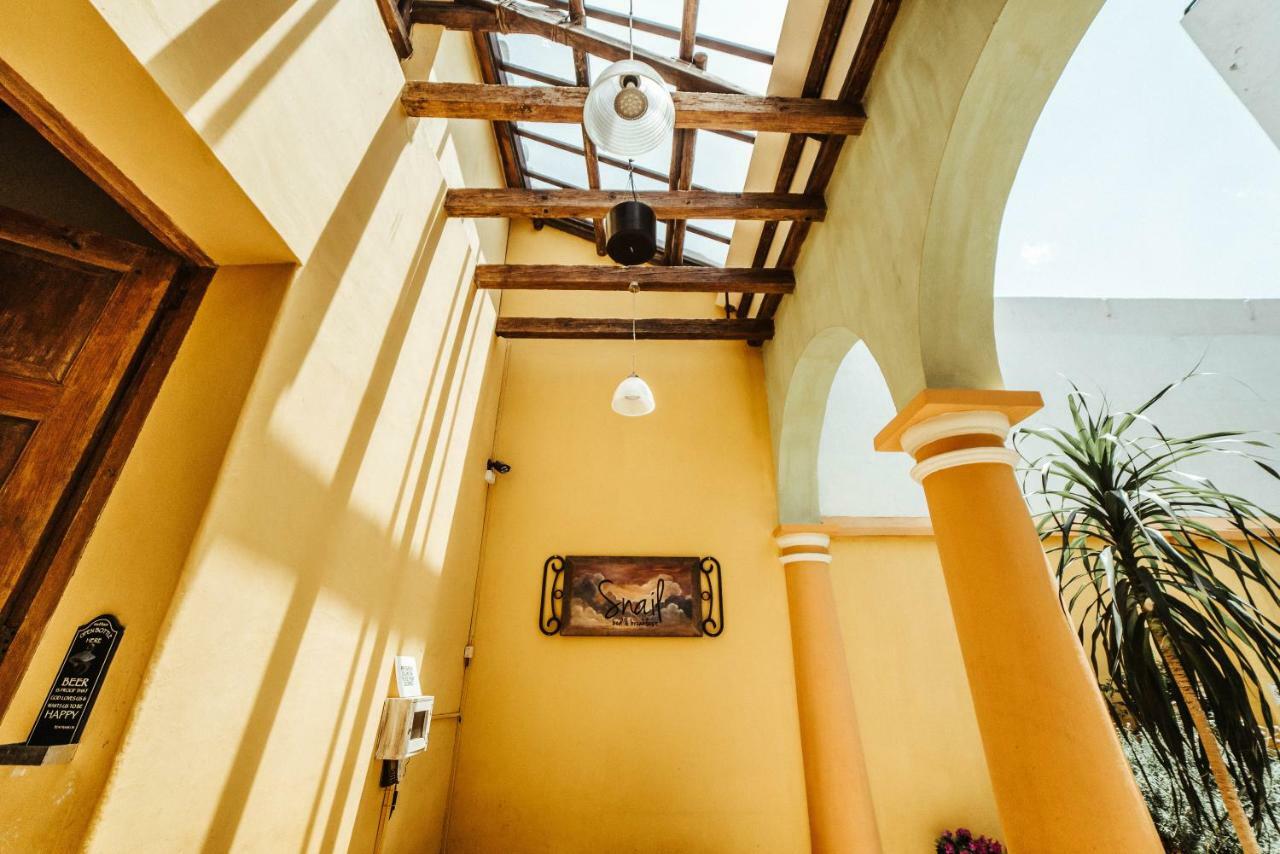 Snail Bed & Breakfast (Adults Only) San Cristóbal de Las Casas Zewnętrze zdjęcie